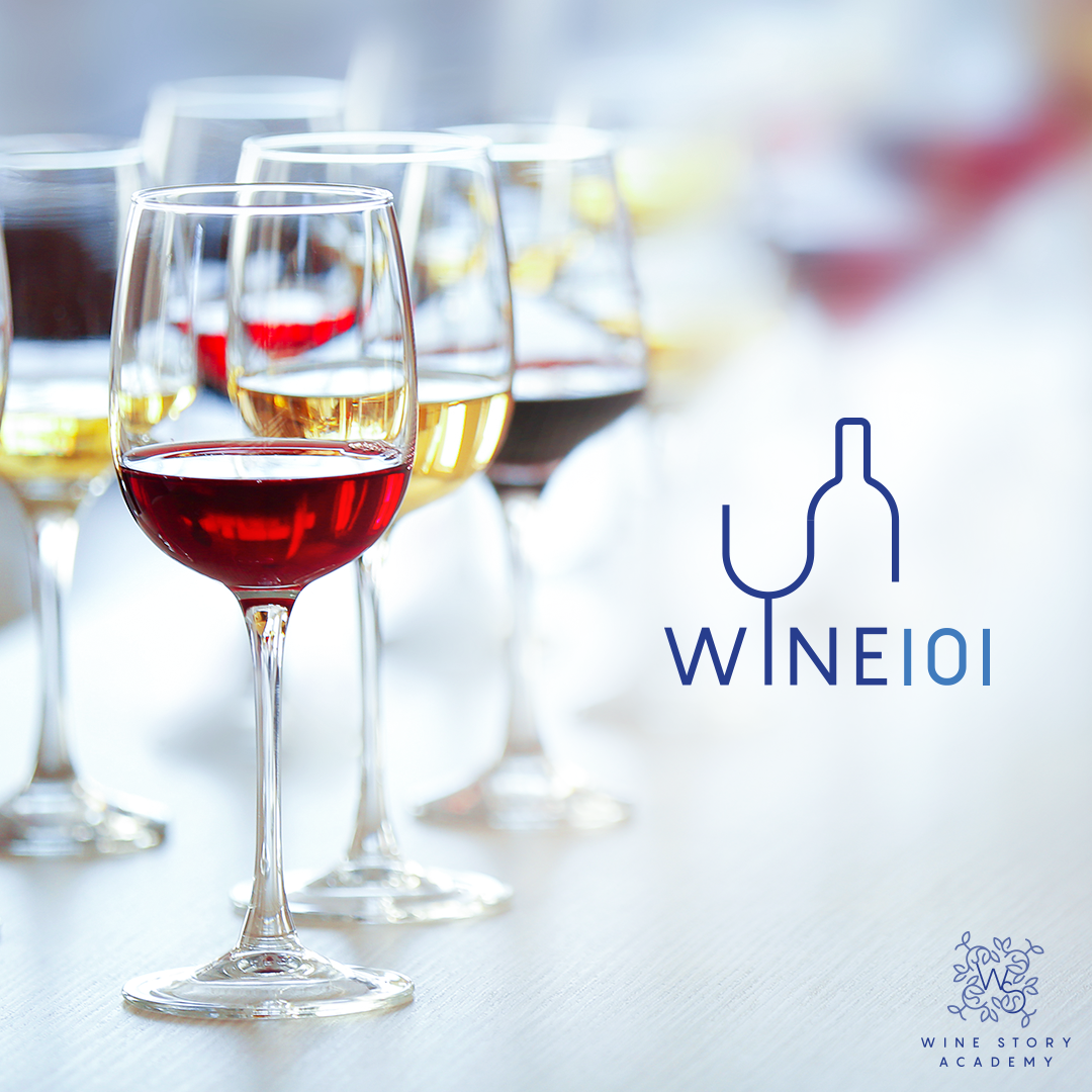 Wine 101 best sale
